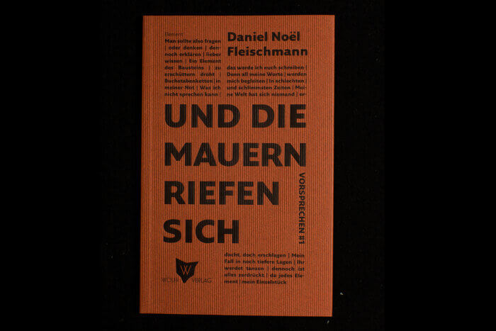 Denken & Handeln, Fine Heininger, Buchgestaltung, Cover, Innensatz, Typografie, Layout, Reinzeichnung, Druckvorstufe, Wolff Verlag, Daniel Noel Fleischmann, Und die Mauern riefen sich